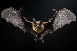 AI generated Bat on fly photo