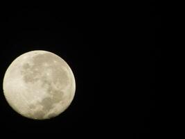 full moon potrait at night photo