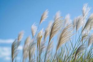 AI generated a bunch of tall grass blowing in the wind photo