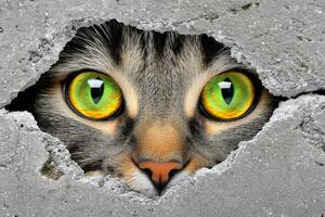 AI generated close-up of a cat's green eyes peeking out of a crack photo