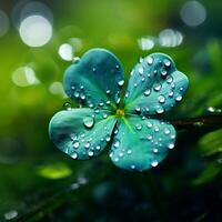 AI generated St Patrick's day symbol clover shamrock close-up covered with dew drops photo