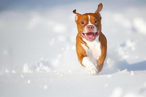 ai generado un perro con un grande abierto boca carreras felizmente saltando en el nieve foto