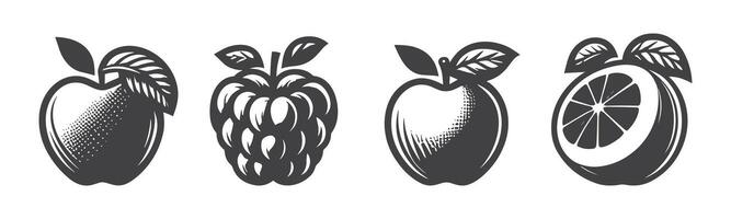 Apple icon set. Apple vector icon. apple symbols for your web design. Icon logo, app, UI. Apple Icon Vector illustration