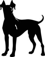 Great Dane  silhouette portrait vector