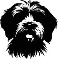 Havanese   black silhouette vector