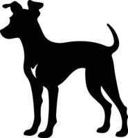 Italian Greyhound  silhouette portrait vector