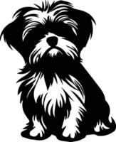 Maltese   black silhouette vector