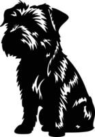 Norfolk Terrier    black silhouette vector