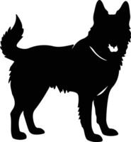 Norwegian Elkhound   black silhouette vector