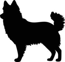 Schipperke   black silhouette vector