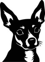 Rat Terrier   black silhouette vector