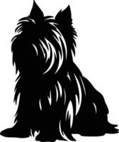 Skye Terrier   black silhouette vector