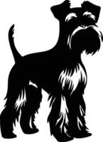 Standard Schnauzer    black silhouette vector