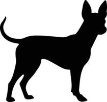 Toy Manchester Terrier    black silhouette vector