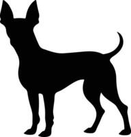 Toy Manchester Terrier   black silhouette vector