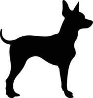 Toy Manchester Terrier   black silhouette vector