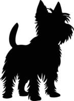 australiano terrier negro silueta vector