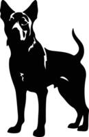 Beauceron negro silueta vector