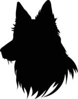 Belgian Sheepdog   black silhouette vector