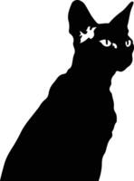 Cornish Rex Cat  black silhouette vector