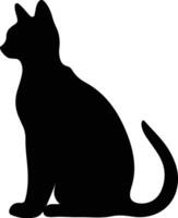 Colorpoint Shorthair Cat  black silhouette vector