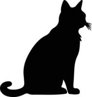 Khao Manee Cat  silhouette portrait vector