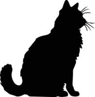 Selkirk Rex Cat  black silhouette vector