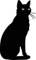 Snowshoe Cat  black silhouette vector