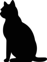 Chartreux Cat  black silhouette vector