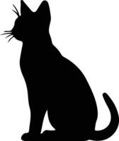 Abyssinian Cat  black silhouette vector