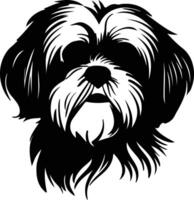 Shih Tzu  silhouette portrait vector