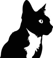 Snowshoe Cat  silhouette portrait vector