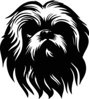 Pekingese  silhouette portrait vector