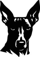 Manchester Terrier silhouette portrait vector