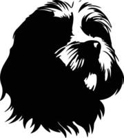 tibetano terrier silueta retrato vector