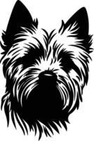 norwich terrier silueta retrato vector