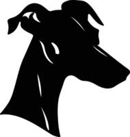 Whippet  silhouette portrait vector