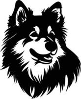 finlandés perro lapphund silueta retrato vector