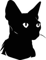 Devon Rex Cat  silhouette portrait vector