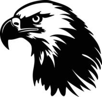 bald eagle  silhouette portrait vector