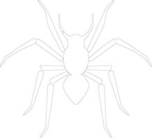 assassin bug  outline silhouette vector