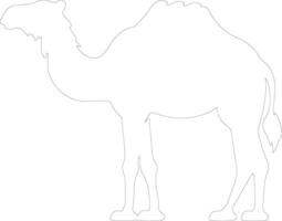 bactrian camel  outline silhouette vector