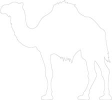 bactrian camel  outline silhouette vector