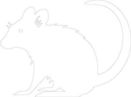 bandicoot  outline silhouette vector