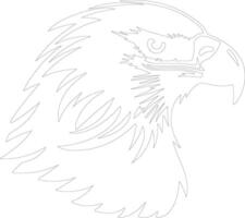 bald eagle  outline silhouette vector