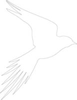 Arctic tern  outline silhouette vector