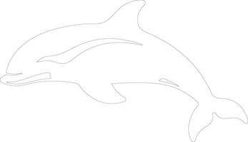 beluga ballena contorno silueta vector