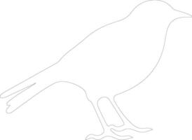 blackbird  outline silhouette vector