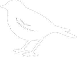 American Robin  outline silhouette vector