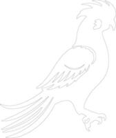 cockatoo outline silhouette vector